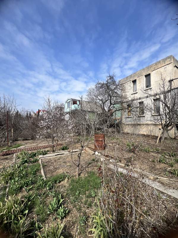 Популярные